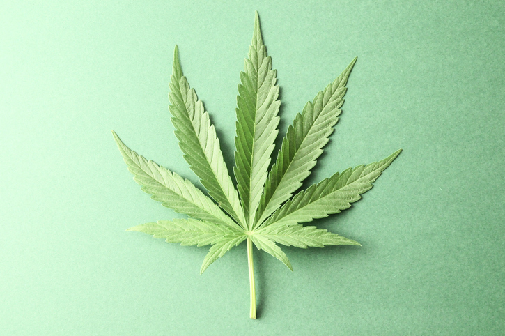 Kan cannabis gebruikt worden als medicijn voor Covid-19?